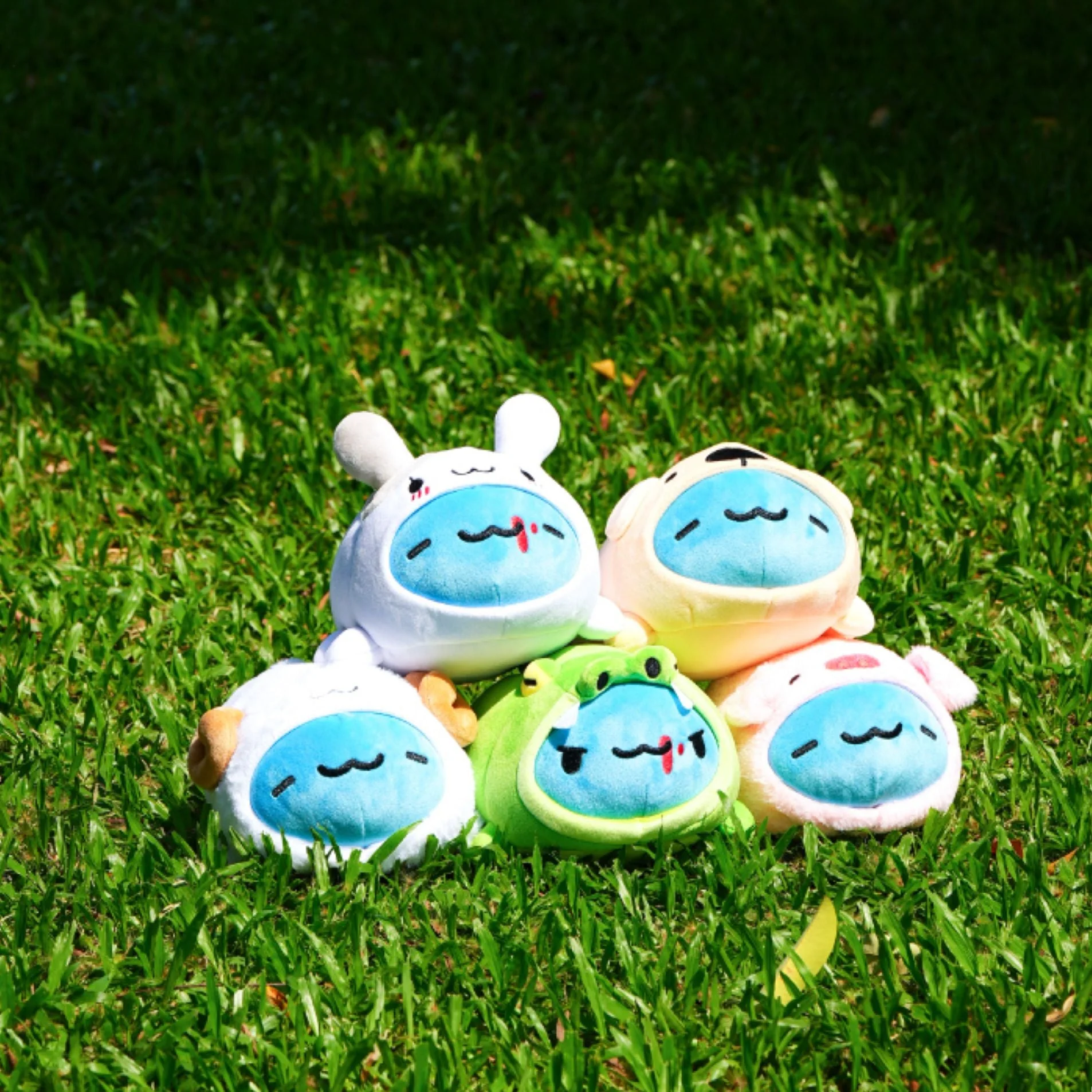 Thumbnail 9