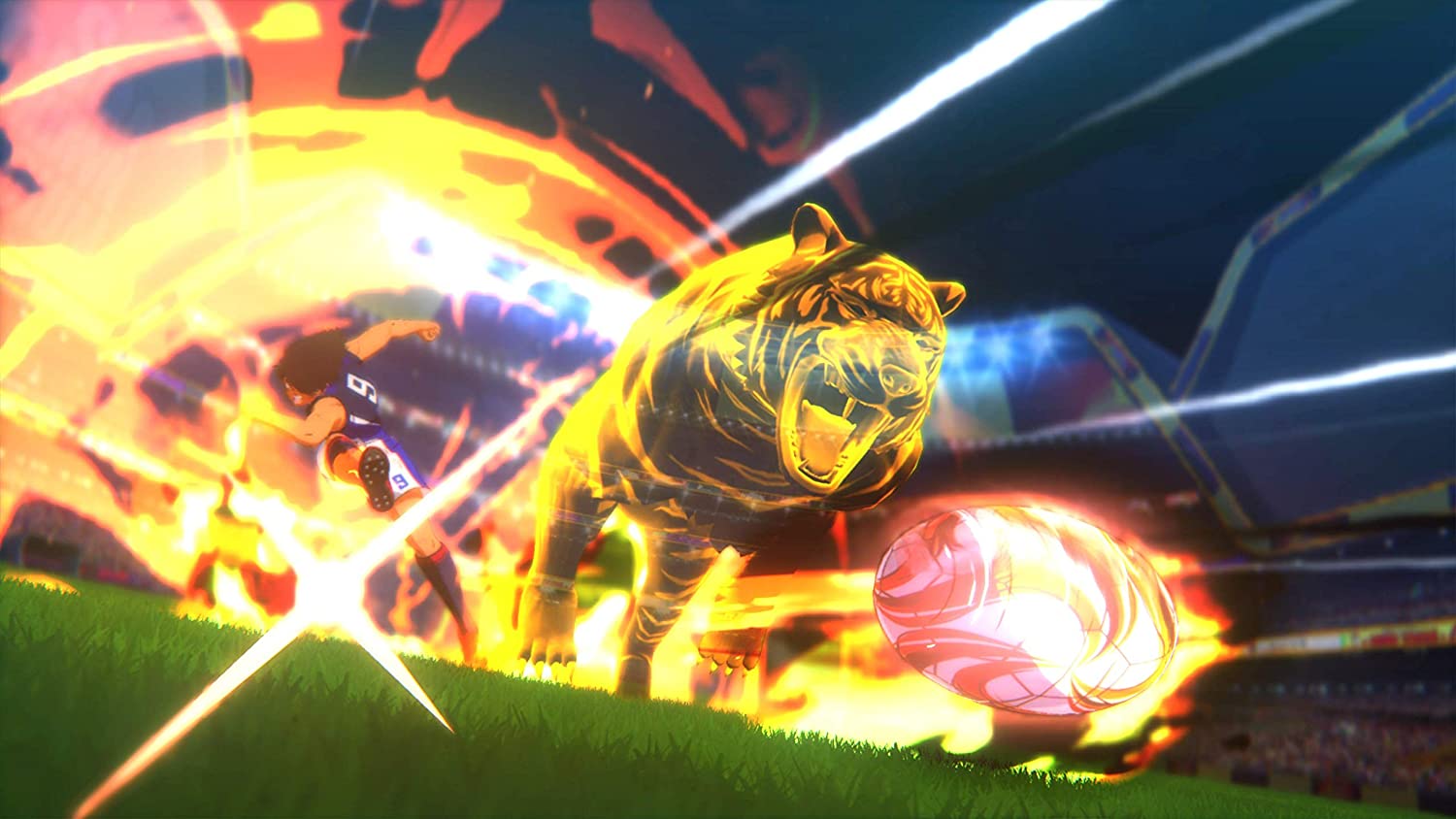 Thumbnail 8