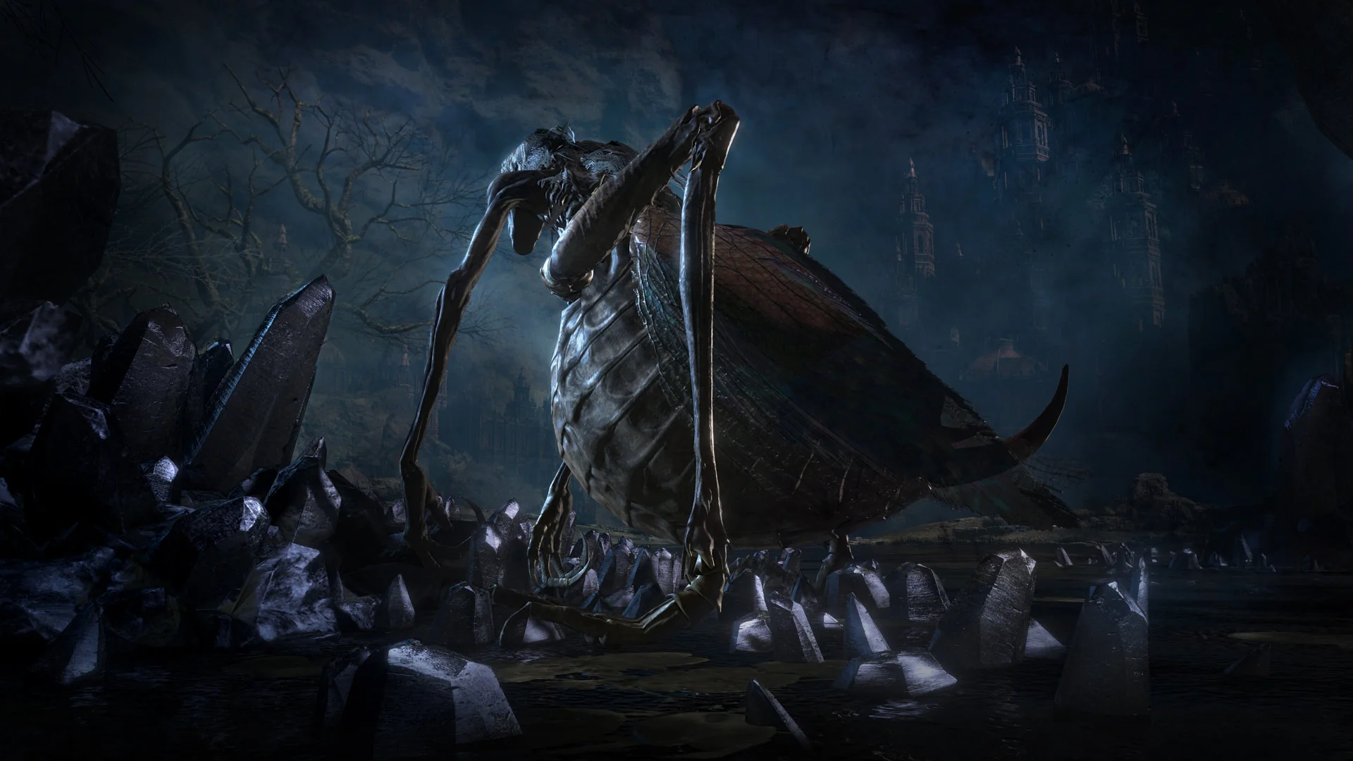 Thumbnail 13