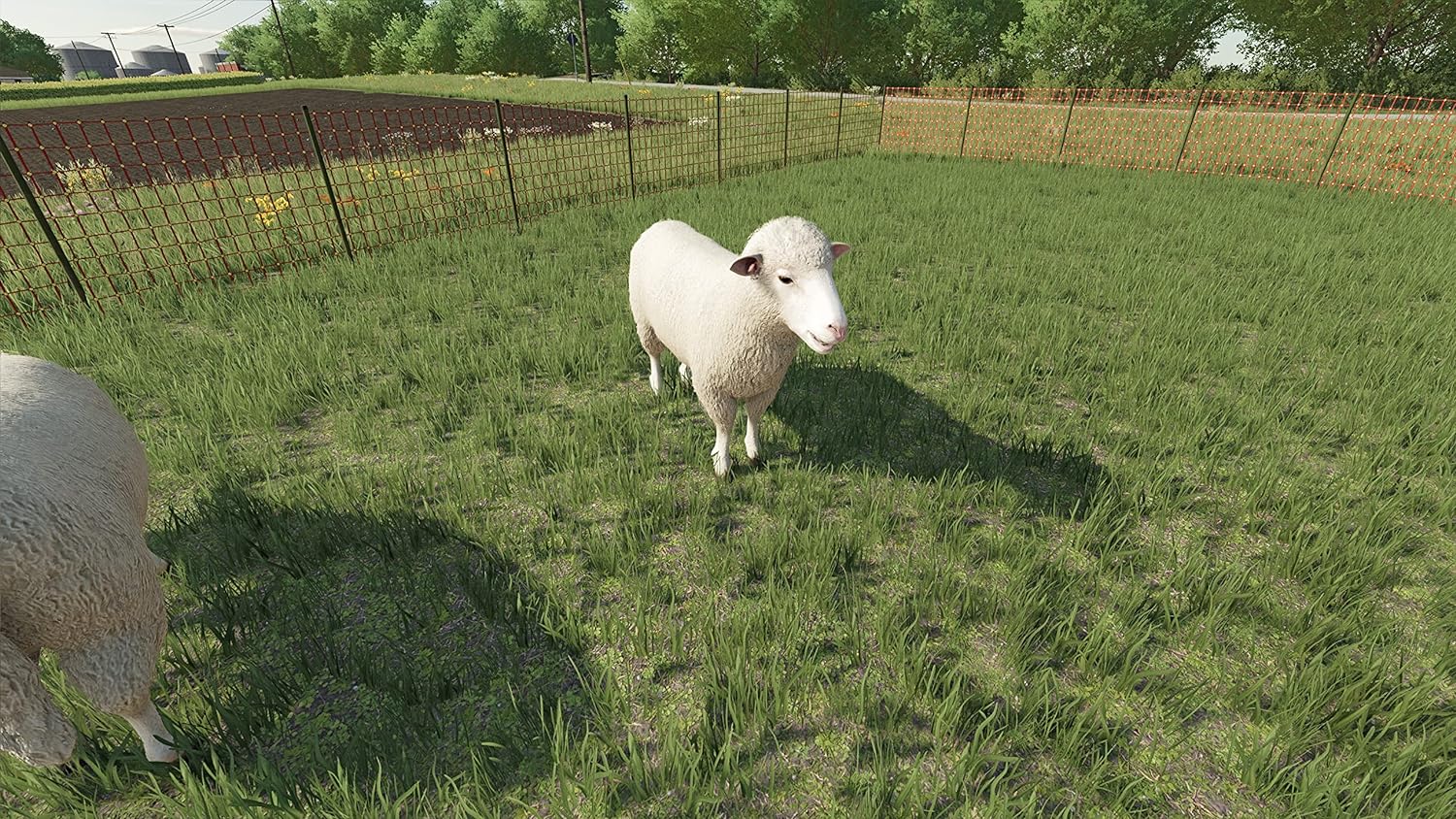 Thumbnail 8