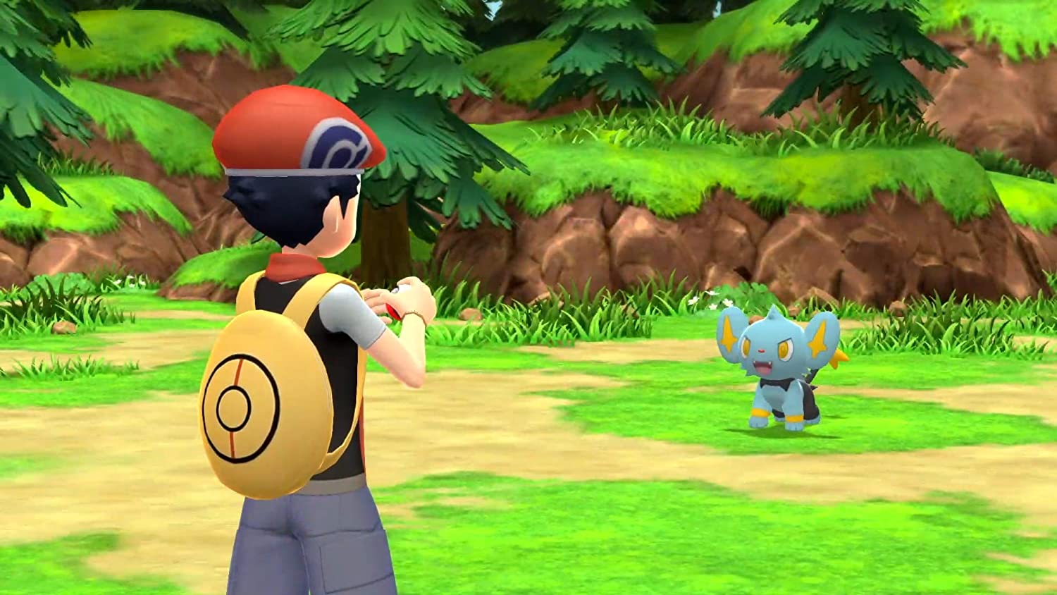 Thumbnail 9