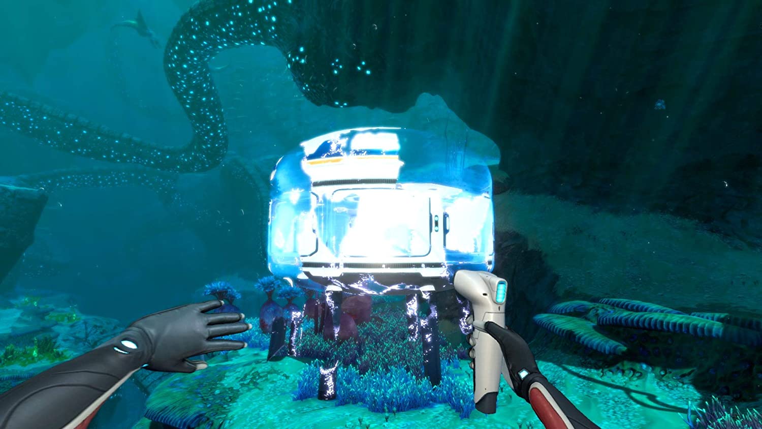 Thumbnail 5