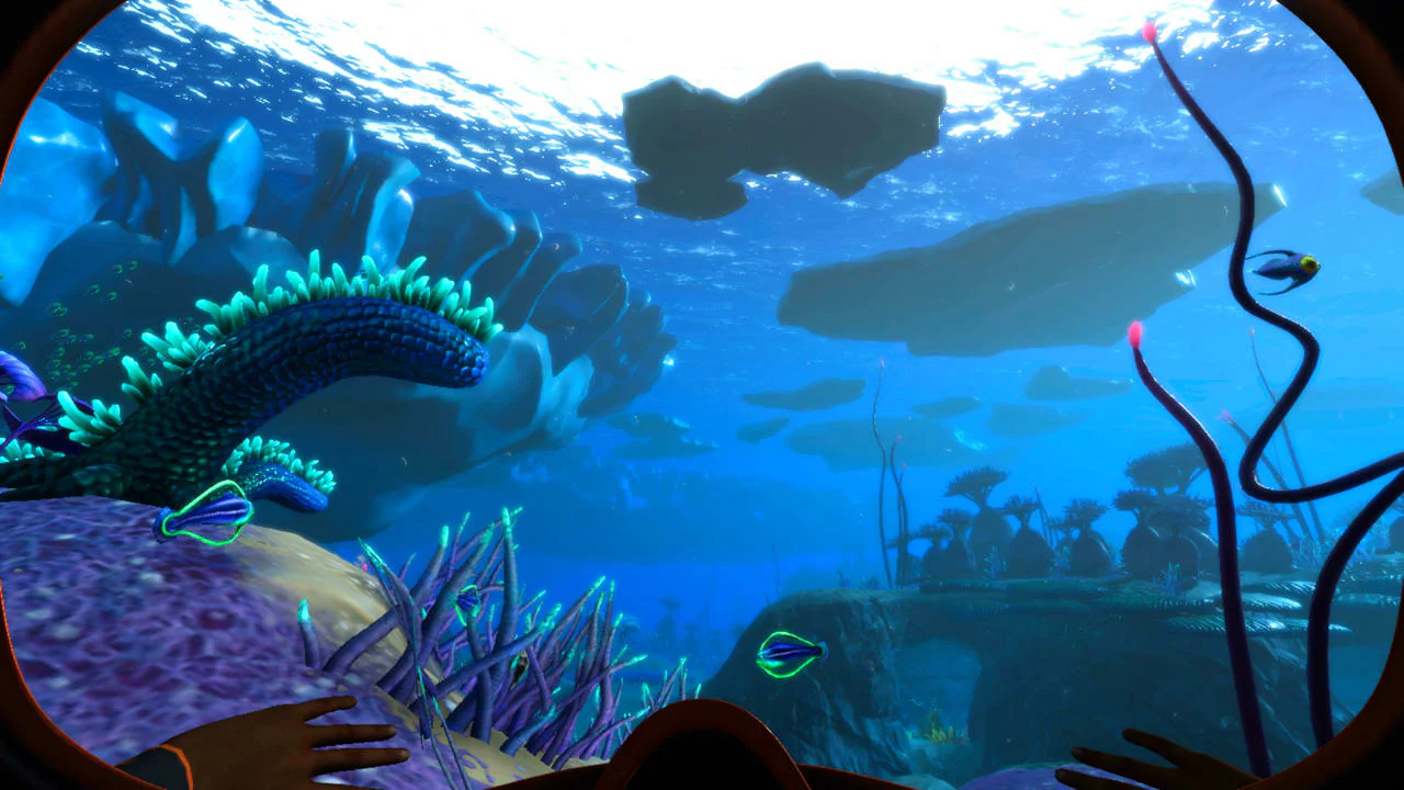 Thumbnail 5