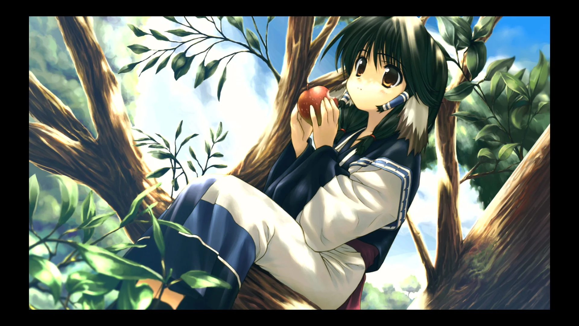 Thumbnail 11